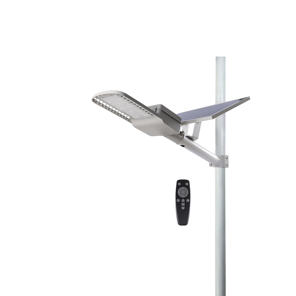 Đèn đường năng lượng mặt trời Rạng Đông CSD01.SL.RF 25W