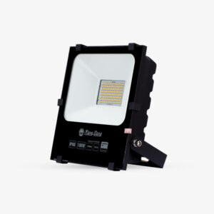 Đèn Pha LED Rạng Đông CP06 100W