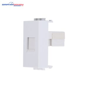 Hạt ổ cắm mạng internet âm tường Rạng Đông HOC.LAN01