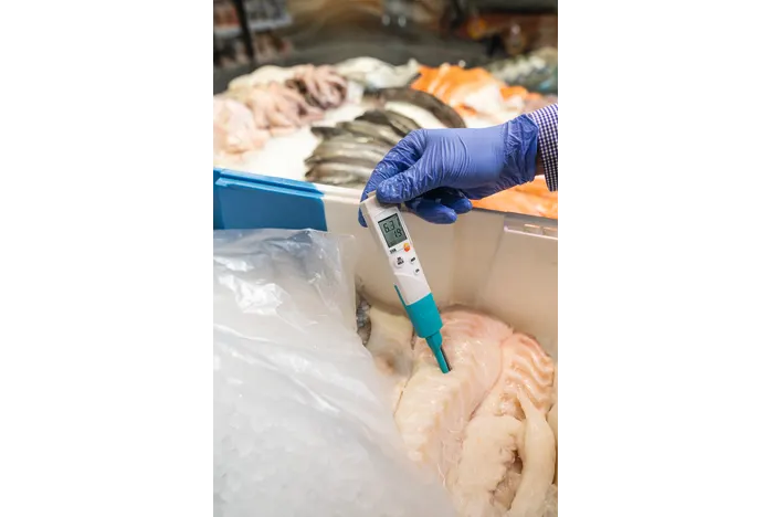 Máy Đo PH, Nhiệt Độ Testo 206-pH3 (0563 2063) (0 ~ 80 °C; 0~14 pH, Instrument kit, chưa bao gồm điện cực) 5 Máy Đo PH, Nhiệt Độ Testo 206-pH3 (0563 2063) (0 ~ 80 °C; 0~14 pH, Instrument kit, chưa bao gồm điện cực) - Ảnh 4