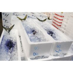 Thiết bị ghi nhiệt độ KIMO KT120 11 61Q6v6zOSuL. SL1000