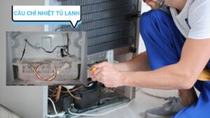 Các Cách Kiểm Tra Cầu Chì Nhiệt Tủ Lạnh Sống Hay Chết? 15 Giới thiệu cầu chì nhiệt tủ lạnh