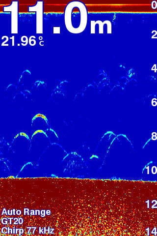 Máy Định Vị Dò Cá GARMIN FF 250 15 Máy định vị dò cá GARMIN FF 250