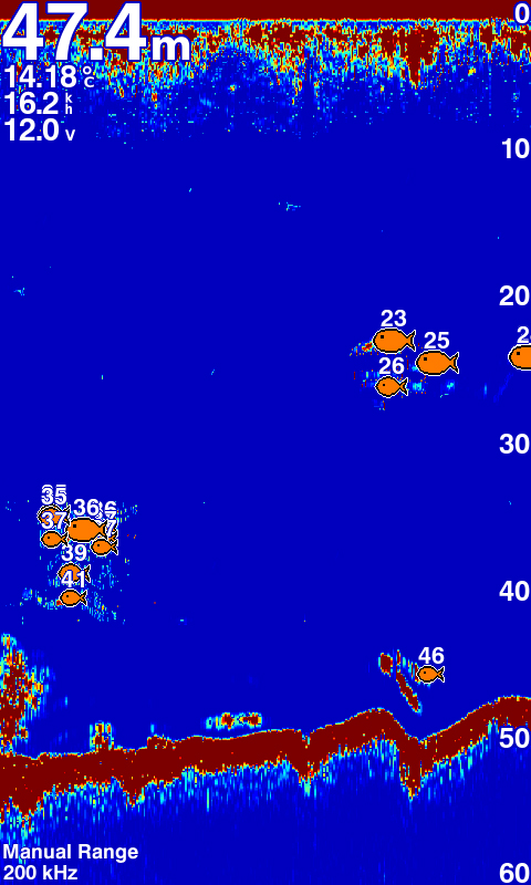 Máy Định Vị Dò Cá GARMIN FF 350 PLUS 17 Máy định vị dò cá GARMIN FF 350 PLUS