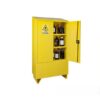 Tủ an toàn cho sản phẩm dễ cháy Ecosafe AMS100