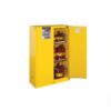 Tủ cao an toàn 2 cửa cho sản phẩm dễ cháy Ecosafe SC60
