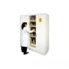 Tủ cao an toàn chống cháy 2 cửa Ecosafe S2004T