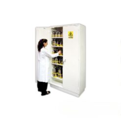 Tủ cao an toàn chống cháy 2 cửa Ecosafe S2006T