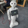 Robot giáo dục Softbank Robotic Pepper