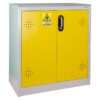 Tủ đựng hóa chất chống cháy 2 cửa Ecosafe AZ114