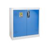 Tủ lưu trữ pin Lithium 2 cửa Ecosafe AZ111BLI