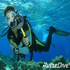 Máy dò kim loại cầm tay Nokta PulseDive 2 in 1 chống nước 11 tay do kim loai chong nuoc pulsedive 2 in 1 p1804 1640725396780