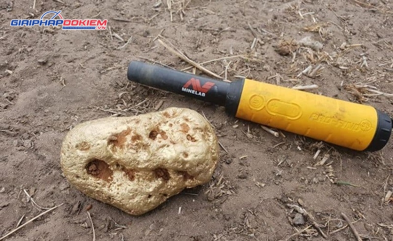 Máy dò kim loại cầm tay Pinpointer định vị chính xác mục tiêu 11 Pinpointers rất dễ sử dụng.